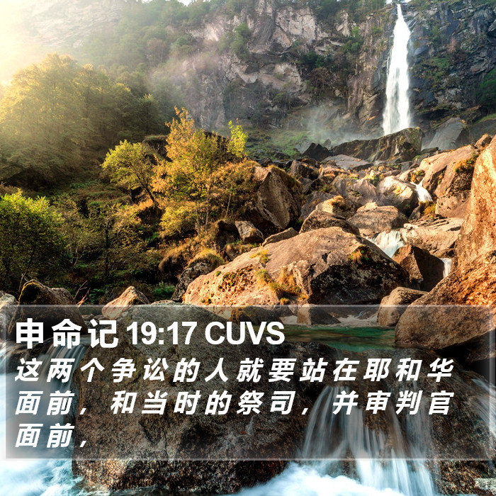 申 命 记 19:17 CUVS Bible Study