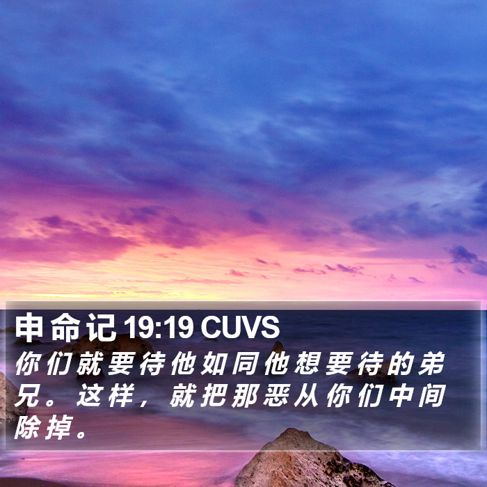 申 命 记 19:19 CUVS Bible Study