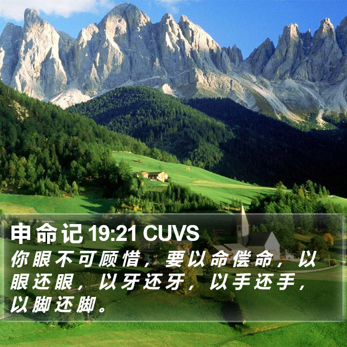 申 命 记 19:21 CUVS Bible Study