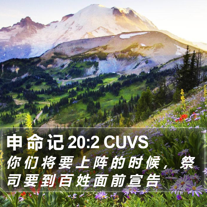 申 命 记 20:2 CUVS Bible Study