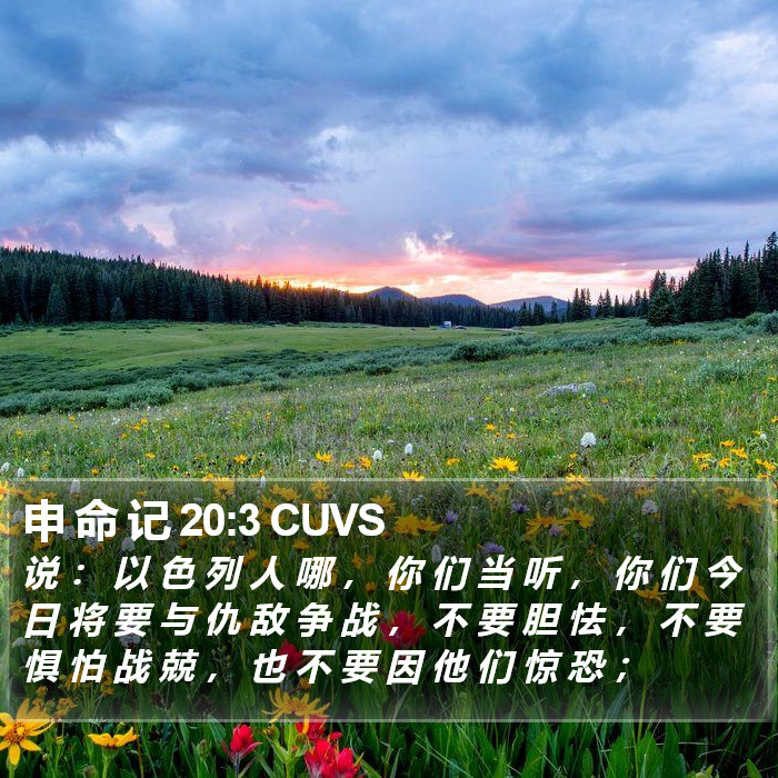 申 命 记 20:3 CUVS Bible Study