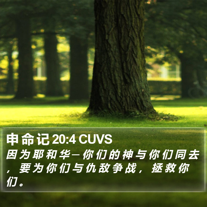 申 命 记 20:4 CUVS Bible Study