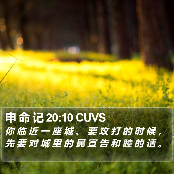 申 命 记 20:10 CUVS Bible Study
