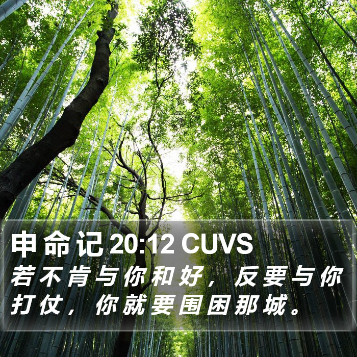 申 命 记 20:12 CUVS Bible Study