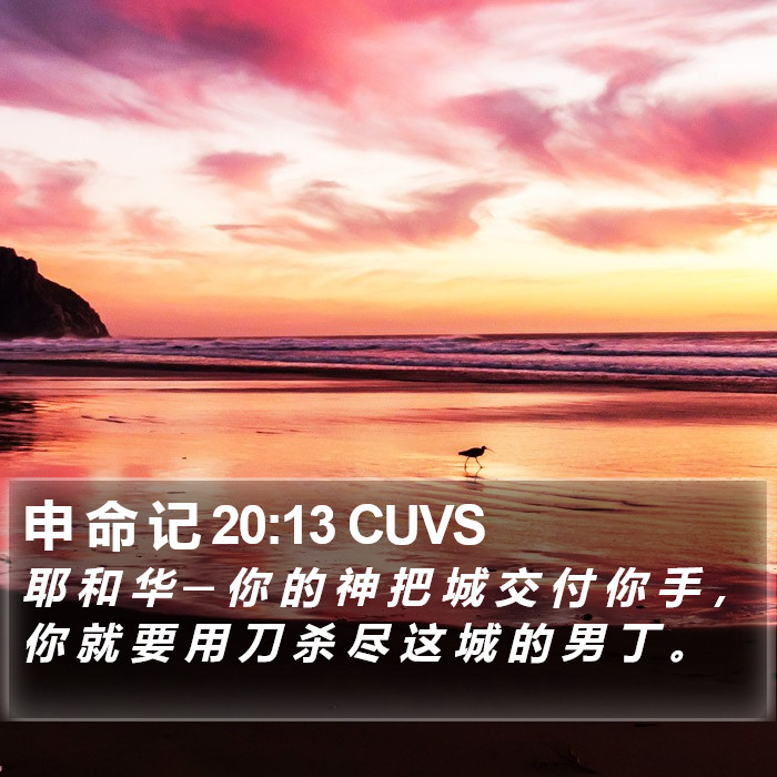 申 命 记 20:13 CUVS Bible Study