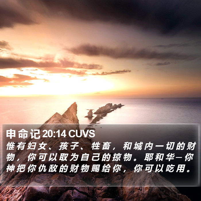 申 命 记 20:14 CUVS Bible Study