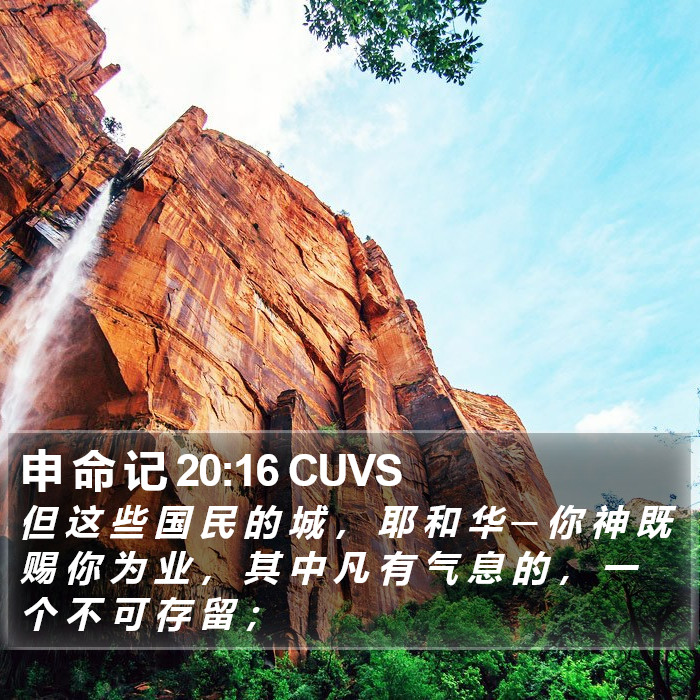 申 命 记 20:16 CUVS Bible Study