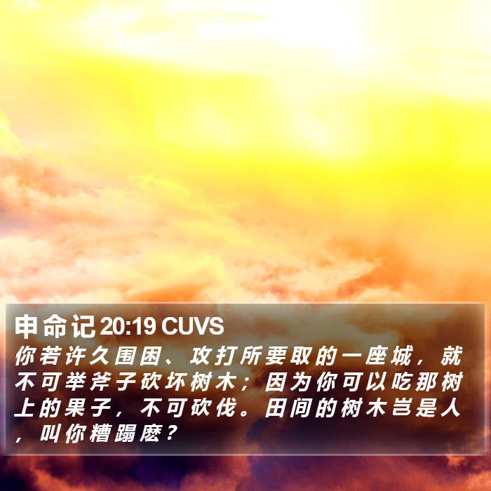 申 命 记 20:19 CUVS Bible Study