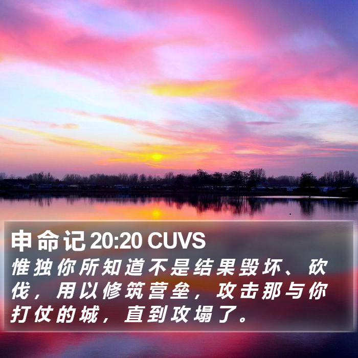 申 命 记 20:20 CUVS Bible Study