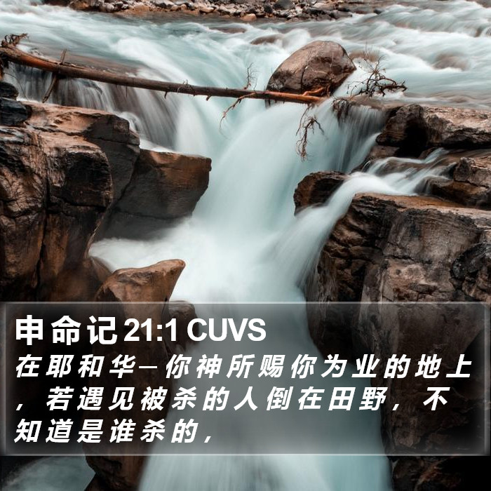 申 命 记 21:1 CUVS Bible Study