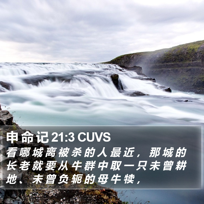 申 命 记 21:3 CUVS Bible Study