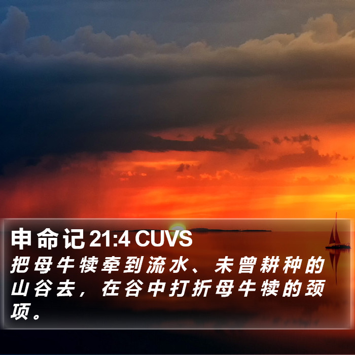 申 命 记 21:4 CUVS Bible Study