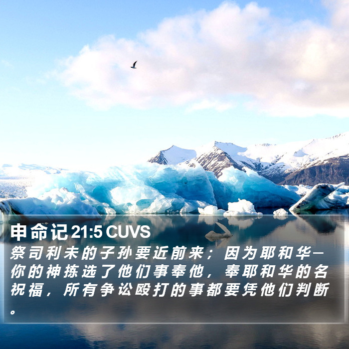 申 命 记 21:5 CUVS Bible Study