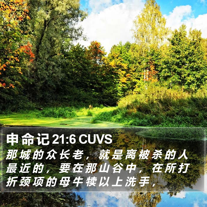 申 命 记 21:6 CUVS Bible Study