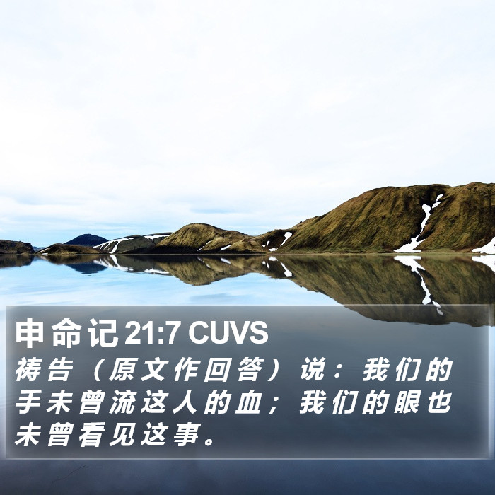 申 命 记 21:7 CUVS Bible Study