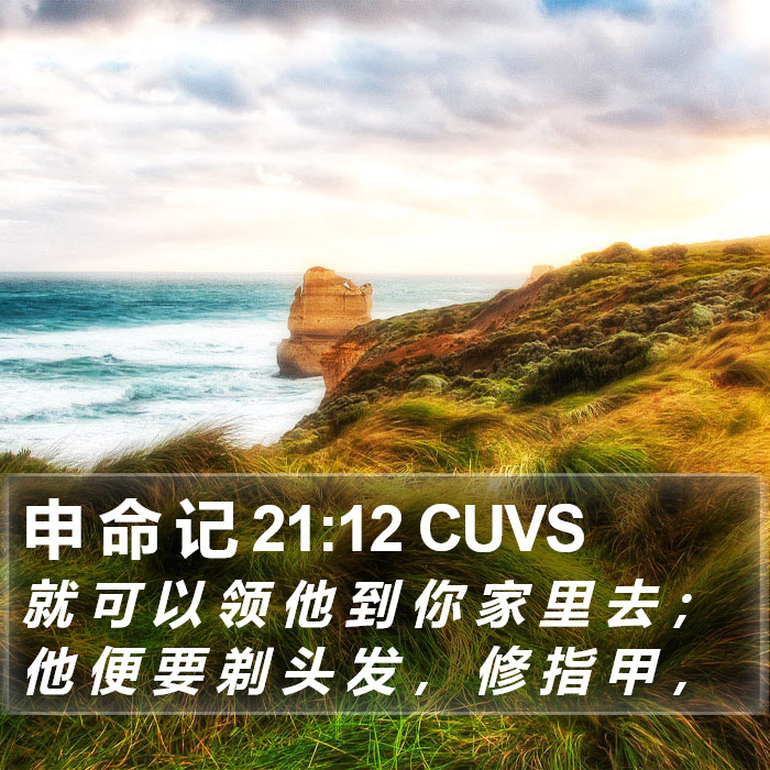 申 命 记 21:12 CUVS Bible Study