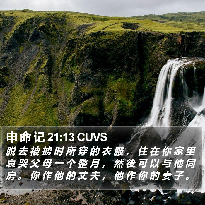 申 命 记 21:13 CUVS Bible Study