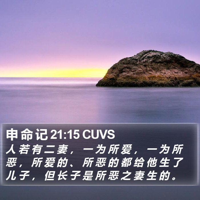 申 命 记 21:15 CUVS Bible Study