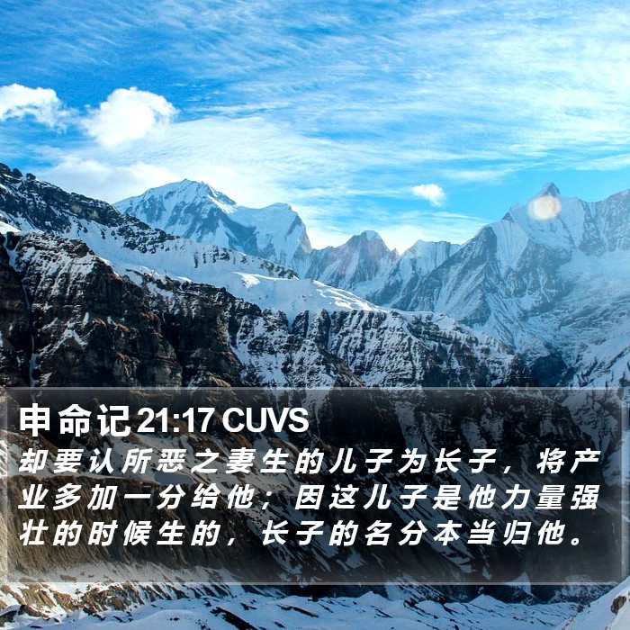 申 命 记 21:17 CUVS Bible Study