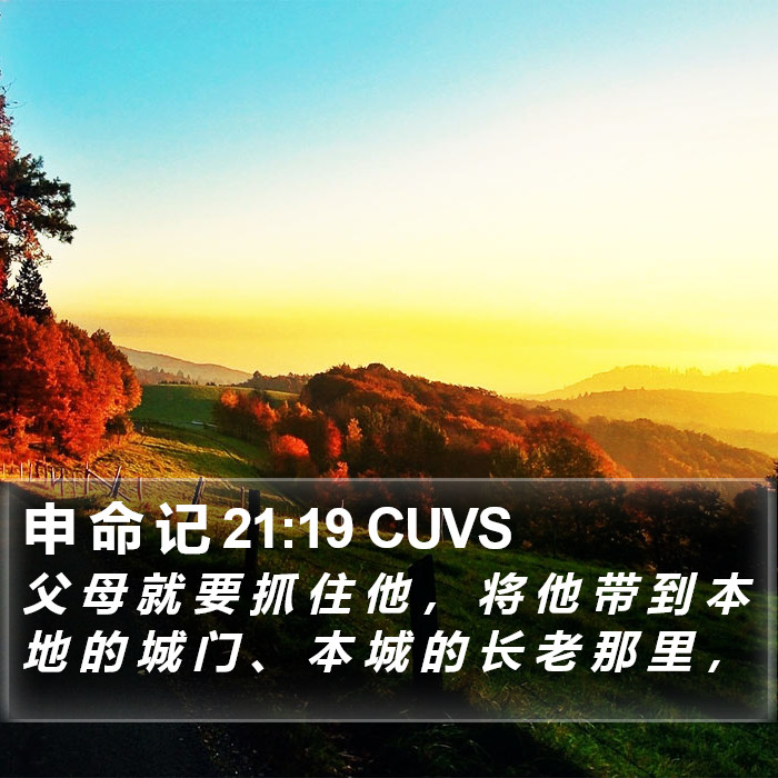 申 命 记 21:19 CUVS Bible Study