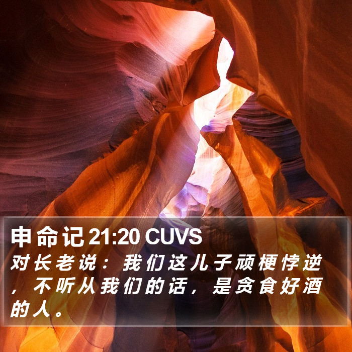 申 命 记 21:20 CUVS Bible Study