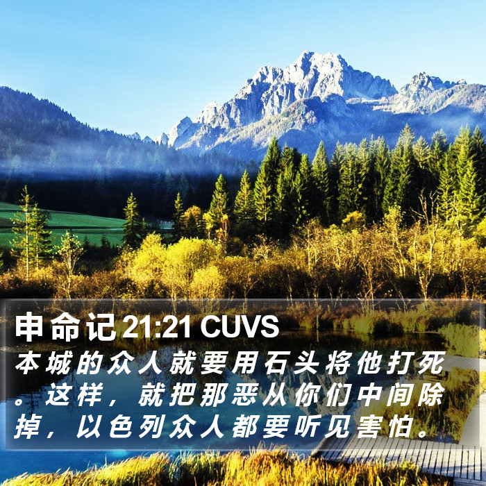 申 命 记 21:21 CUVS Bible Study