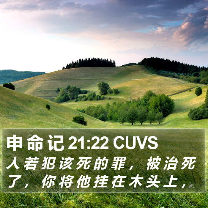 申 命 记 21:22 CUVS Bible Study