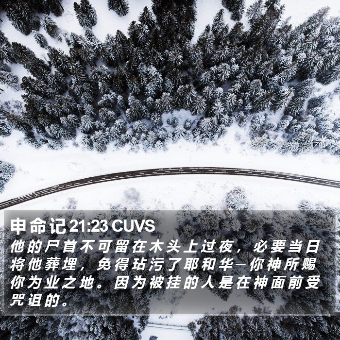 申 命 记 21:23 CUVS Bible Study