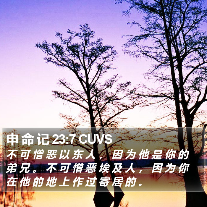 申 命 记 23:7 CUVS Bible Study