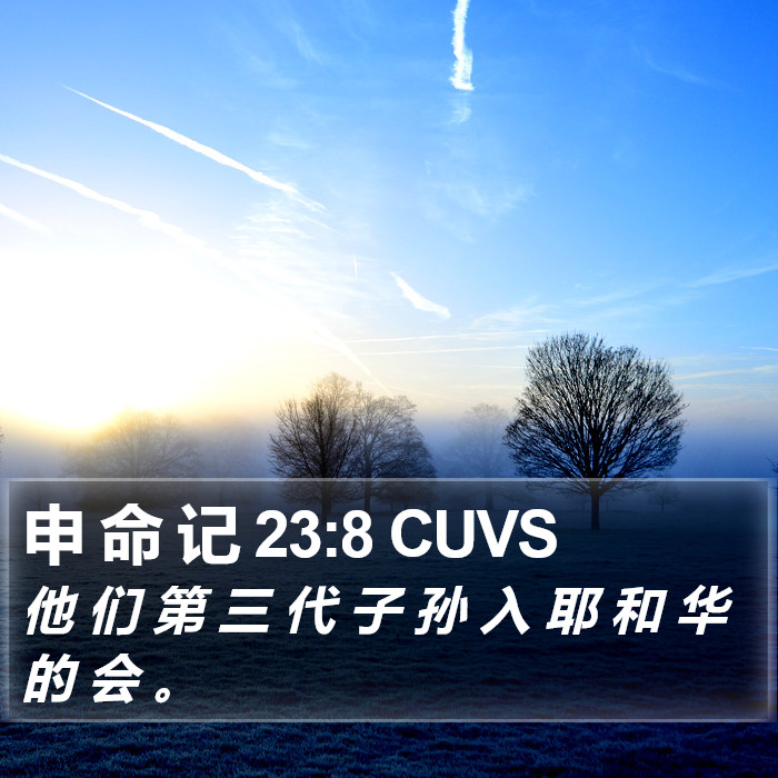 申 命 记 23:8 CUVS Bible Study