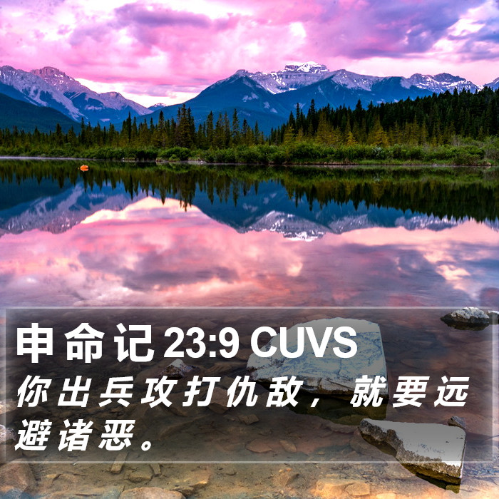 申 命 记 23:9 CUVS Bible Study