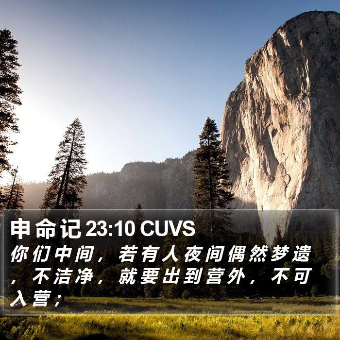 申 命 记 23:10 CUVS Bible Study