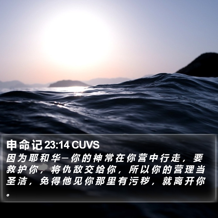 申 命 记 23:14 CUVS Bible Study
