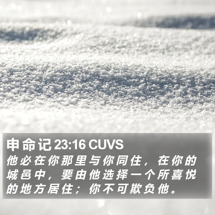 申 命 记 23:16 CUVS Bible Study