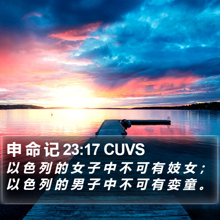 申 命 记 23:17 CUVS Bible Study