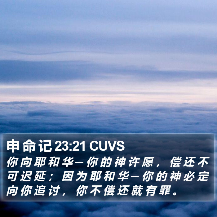 申 命 记 23:21 CUVS Bible Study