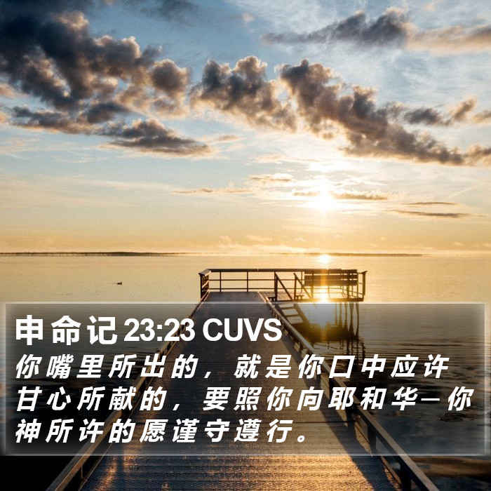 申 命 记 23:23 CUVS Bible Study