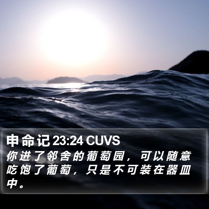 申 命 记 23:24 CUVS Bible Study