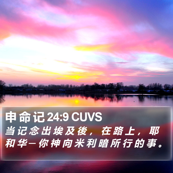 申 命 记 24:9 CUVS Bible Study