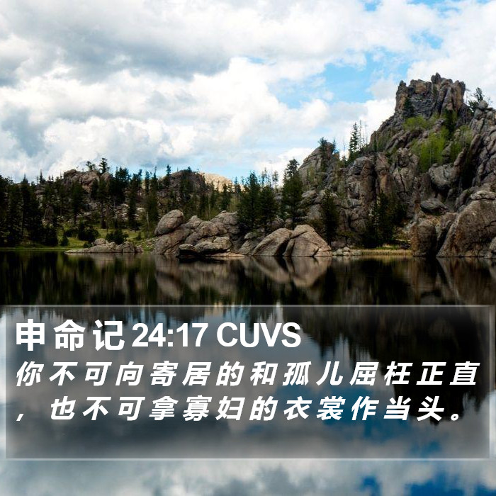 申 命 记 24:17 CUVS Bible Study