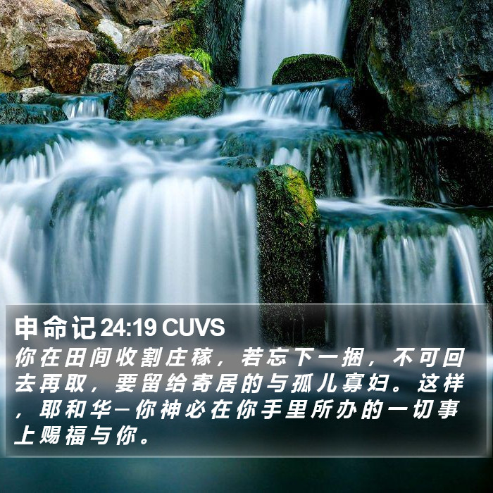 申 命 记 24:19 CUVS Bible Study
