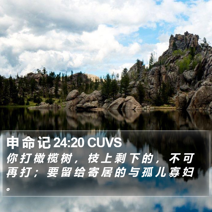 申 命 记 24:20 CUVS Bible Study