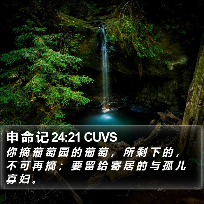 申 命 记 24:21 CUVS Bible Study