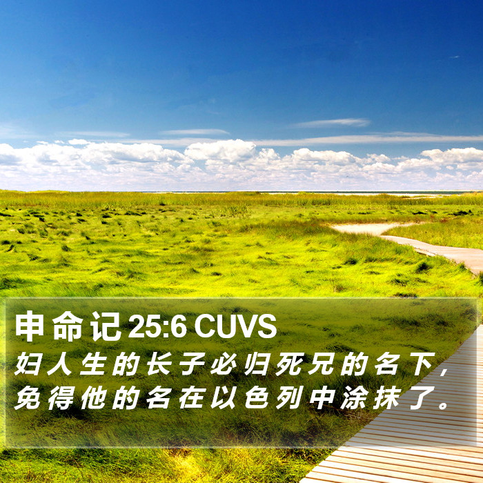 申 命 记 25:6 CUVS Bible Study