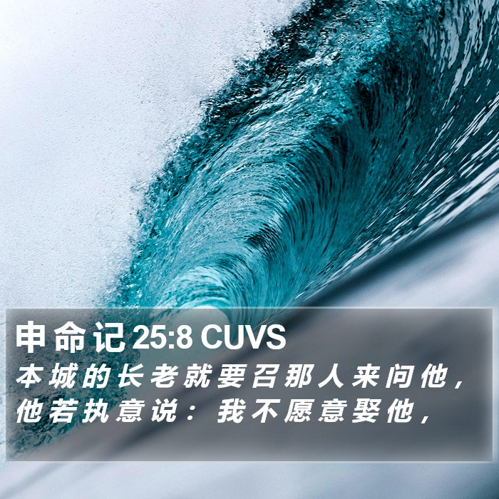 申 命 记 25:8 CUVS Bible Study