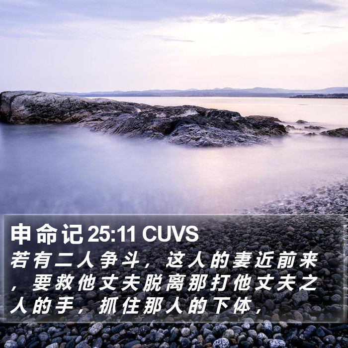 申 命 记 25:11 CUVS Bible Study