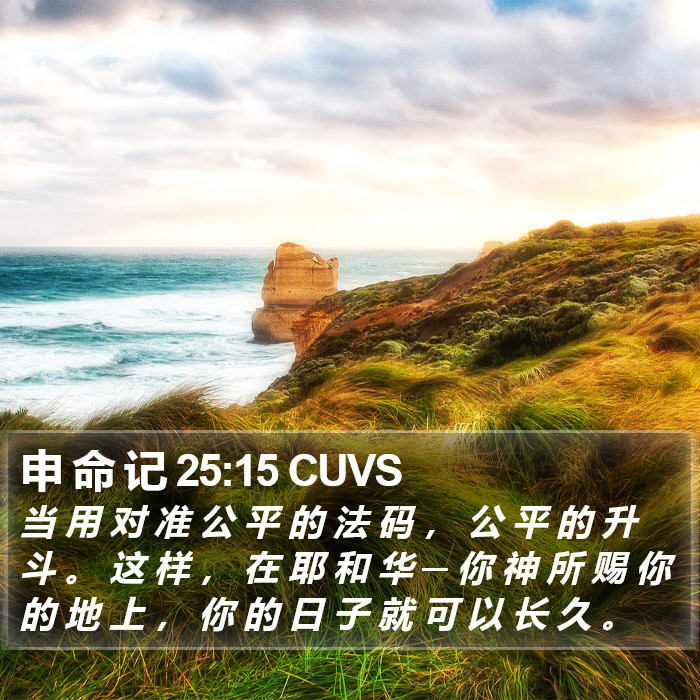申 命 记 25:15 CUVS Bible Study