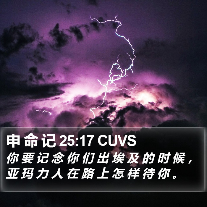 申 命 记 25:17 CUVS Bible Study