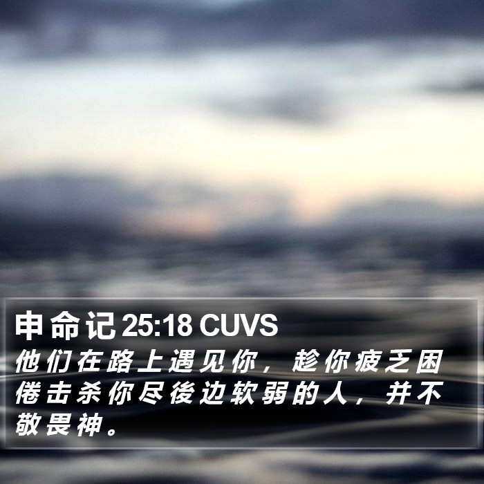 申 命 记 25:18 CUVS Bible Study