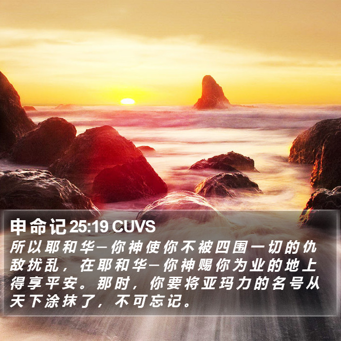 申 命 记 25:19 CUVS Bible Study